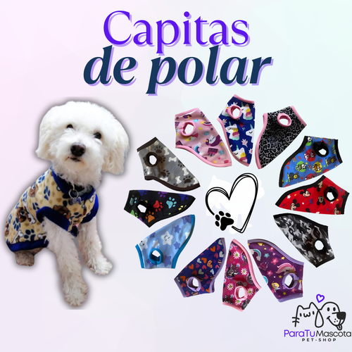 Capas de polar para perros todos los tamaños | Abrigadoras, suaves y cómodas