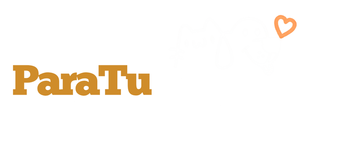 Todos los productos