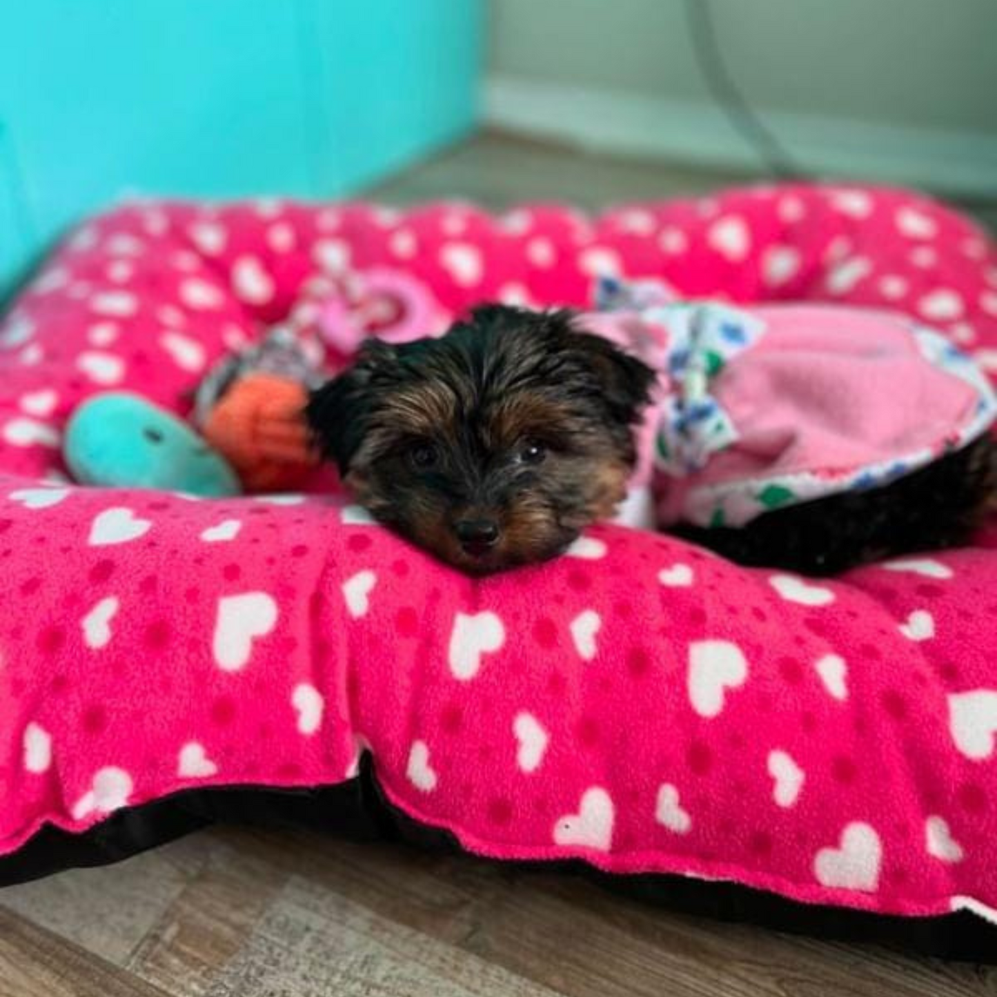 Cama impermeable para perros | Interior polar suave | Premium y lavable