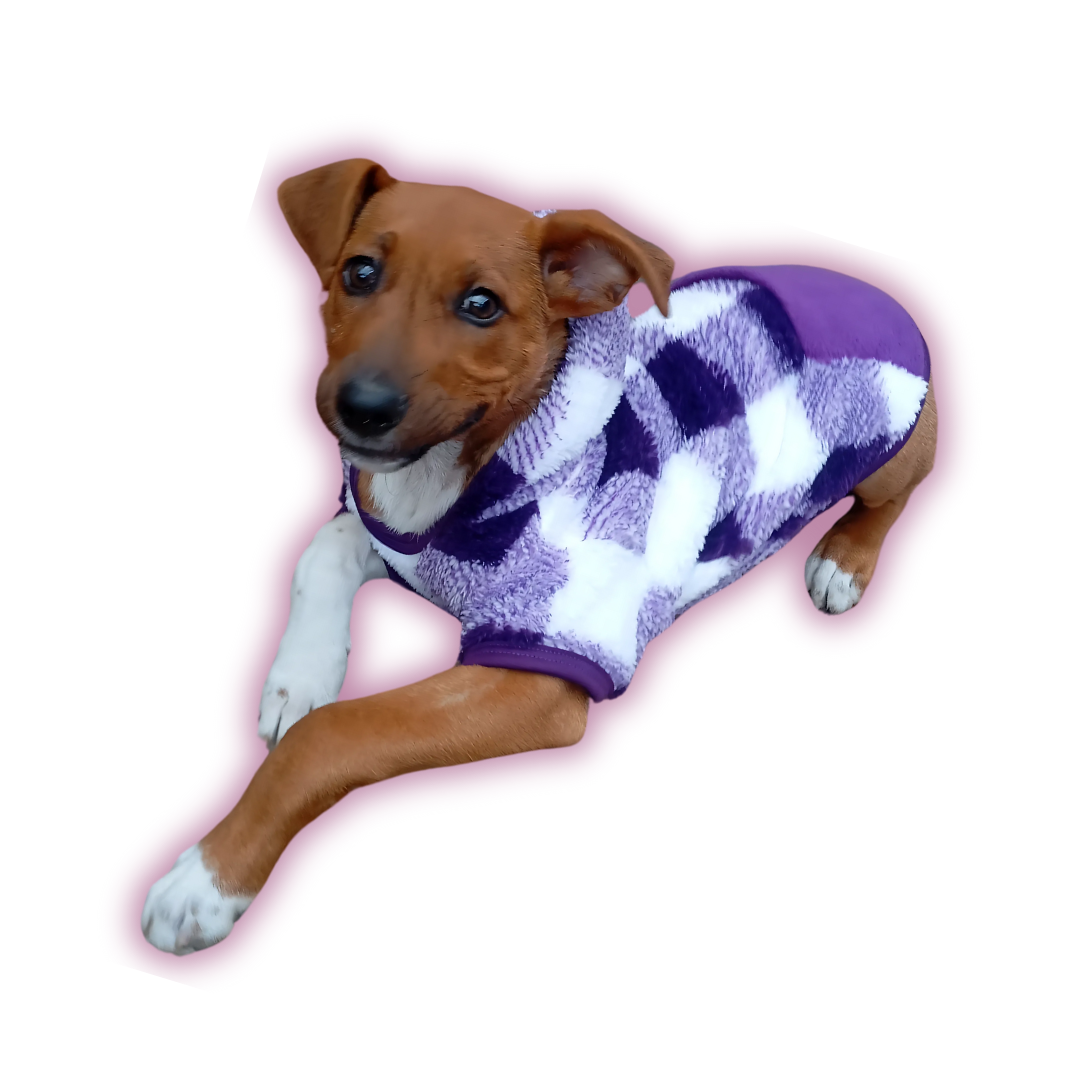 Polerón de corderito para perros | Abrigo cálido y suave | Hecho en Chile