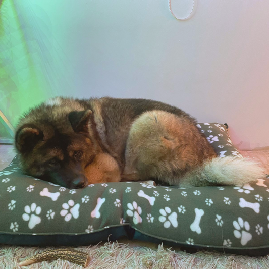 Cama impermeable para perros | Interior polar suave | Premium y lavable