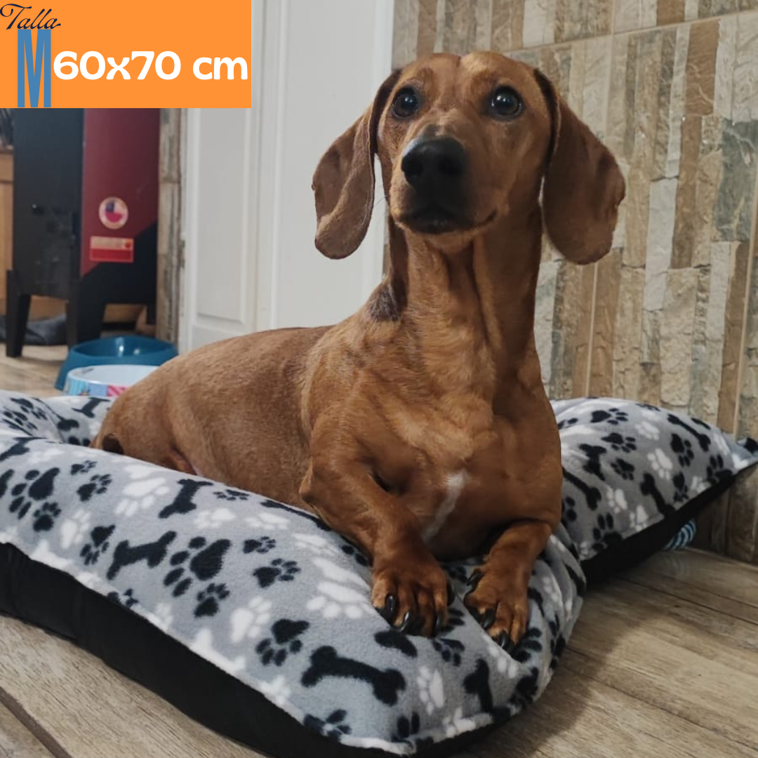 Cama impermeable para perros | Tela lona de alta densidad | Premium y resistente