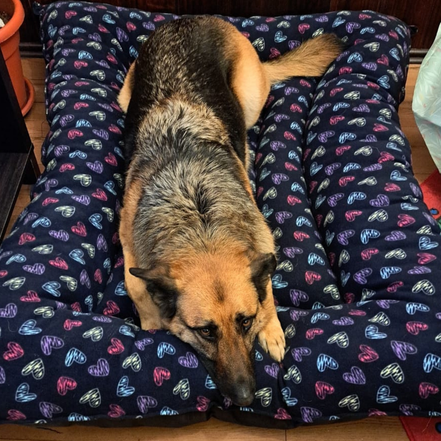 Cama impermeable para perros | Interior polar suave | Premium y lavable