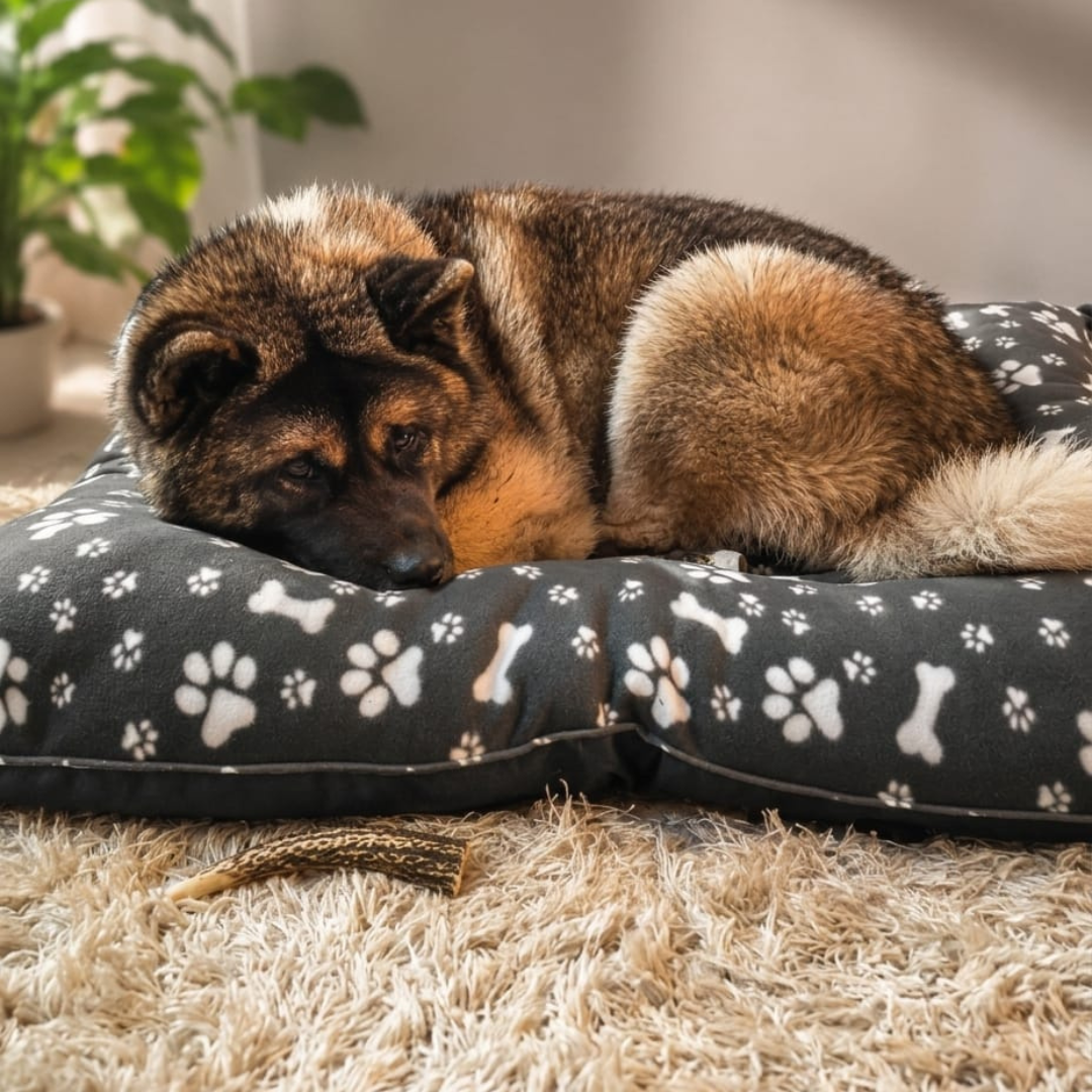 Cama impermeable para perros | Interior polar suave | Premium y lavable