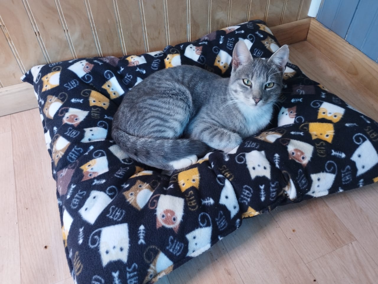Cama impermeable para gatos | Polar térmico | Cómoda y lavable