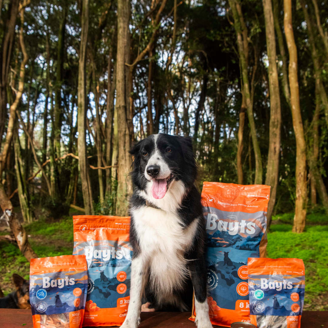 Alimento Bayts Perro Adulto 15kg - Trucha | Gran Formato Económico