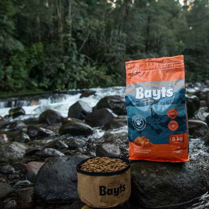Alimento Bayts Perro Adulto 3kg - Trucha | Nutrición Completa