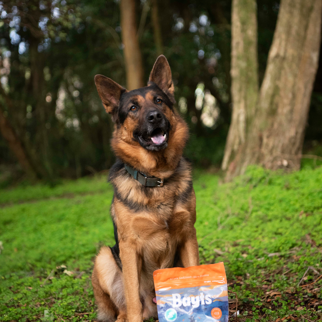 Snack Liofilizado BAYTS® Bocaditos 100g | Trucha Natural | Omega 3 & 6 | Perros y Gatos