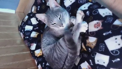 Cama impermeable para gatos | Polar térmico | Cómoda y lavable